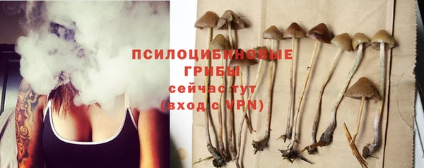 мяу мяу мука Бугульма