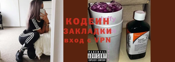 хмурый Бородино