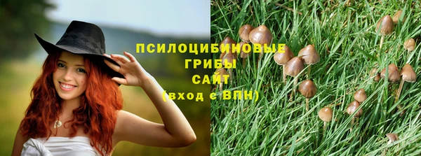 меф Богородицк