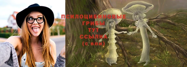 хмурый Бородино
